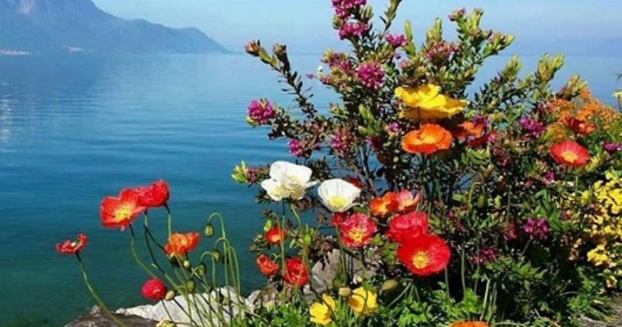 28 απίστευτα μέρη στον κόσμο που την Άνοιξη μετατρέπονται σε παραδεισένιους κήπους