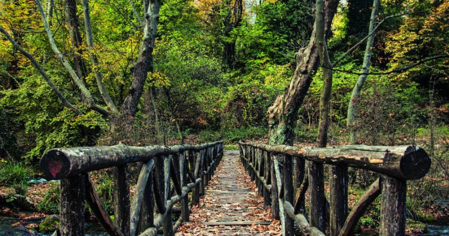 Νάουσα: Μια πόλη που δεν μοιάζει με καμία άλλη! – 20 λόγοι για να πάτε