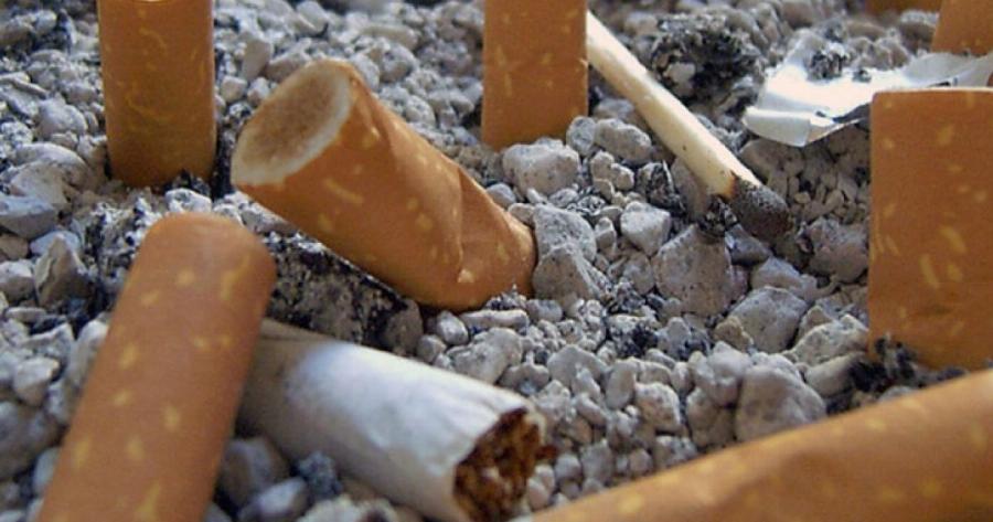 Ψήφισμα: Συμφωνείτε Να Απαγορευτεί Το Κάπνισμα Σε Πάρκα Και Παραλίες;