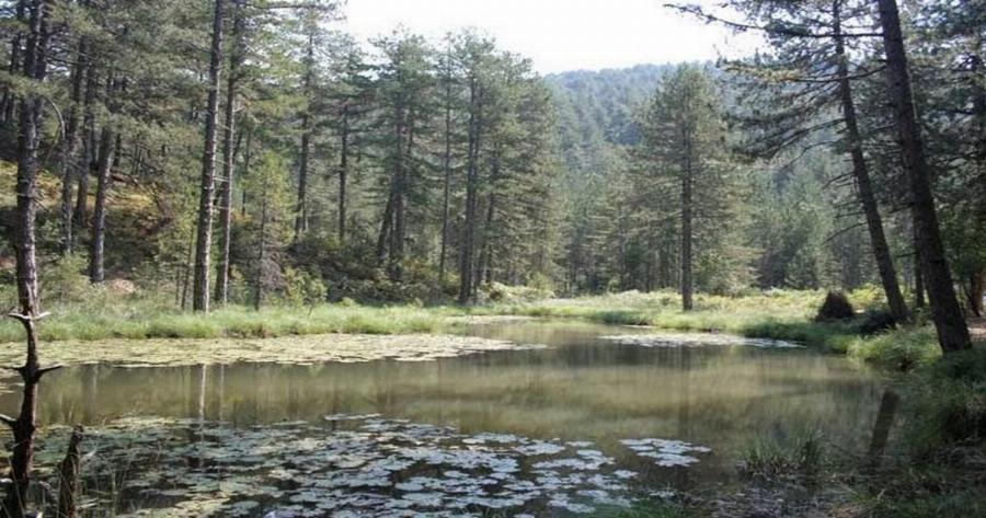 Ζορίκα: Η λίμνη με τα νούφαρα! Μια παραδεισένια λίμνη στο ανατολικό Ζαγόρι!