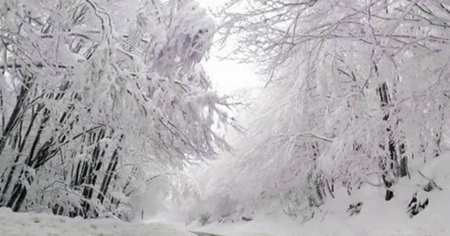 Νέες, μαγικές, σημερινές εικόνες από τη χιονισμένη Φλώρινα! (photos & video)