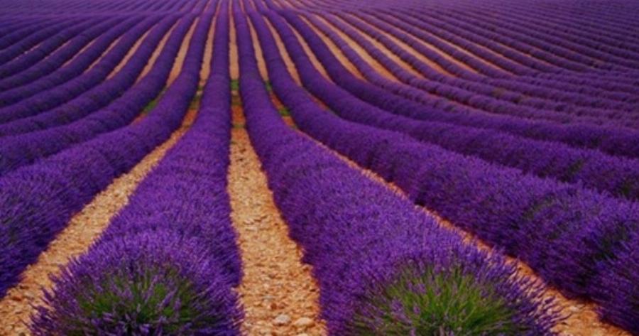 Προβηγκία: Ένα υπέροχο ταξίδι στο πέμπτο πιο όμορφο μέρος της Ευρώπης!