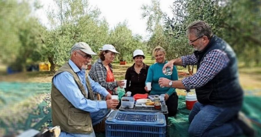 Κολατσιό ανάμεσα στο μάζεμα της ελιάς.. «Τύφλα να ’χουν τα γκουρμέ»