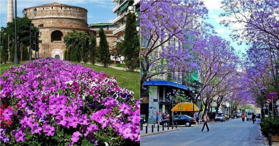 30 μαγικές φωτογραφίες που αποδεικνύουν ότι η Ελλάδα γίνεται ακόμη πιο όμορφη την Άνοιξη!