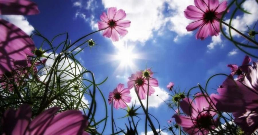 Οδυσσέας Ελύτης: Την Άνοιξη αν δεν τη βρεις, τη φτιάχνεις…