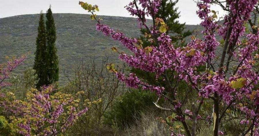 Καιρός στην Ελλάδα το Πάσχα: Ο καιρός τη Μεγάλη Εβδομάδα – Αναλυτική πρόγνωση για όλη τη χώρα (χάρτες)