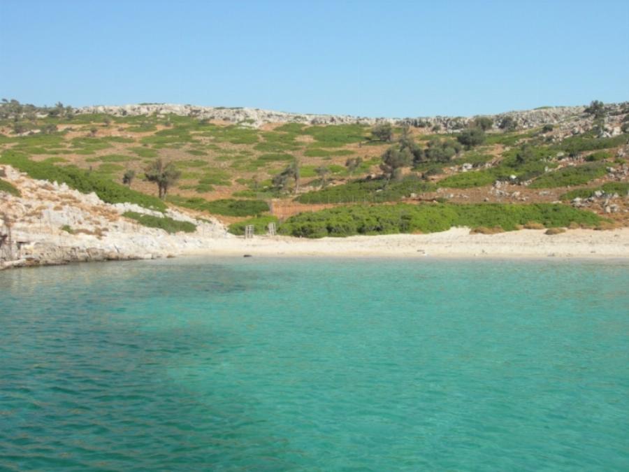 Το πιο ήσυχο και ασφαλές νησί της Ελλάδας: Εδώ θα ‘χεις και του πουλιού το γάλα με 50 ευρώ την ημέρα