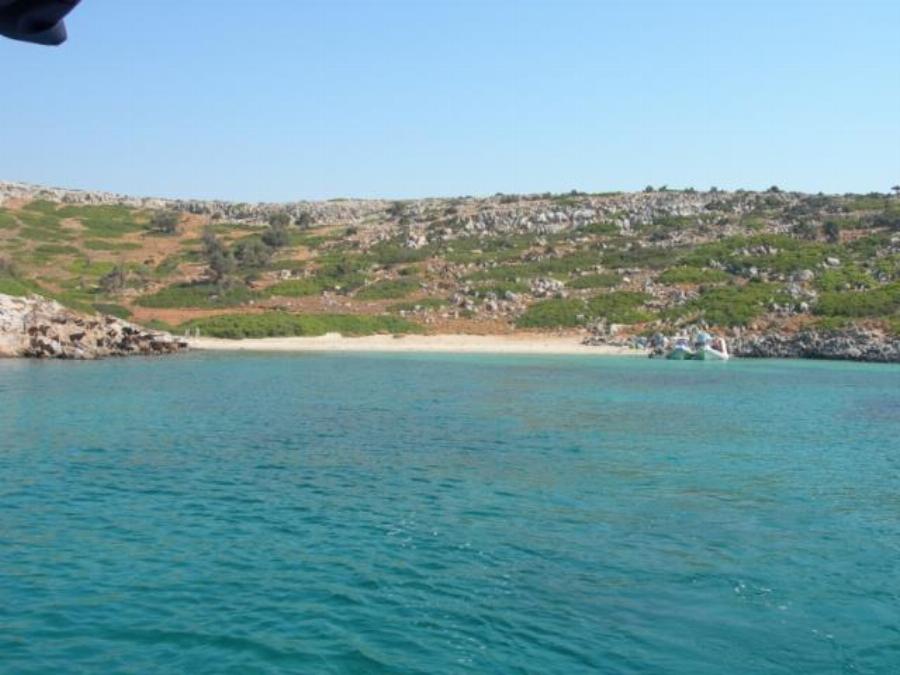 Το πιο ήσυχο και ασφαλές νησί της Ελλάδας: Εδώ θα ‘χεις και του πουλιού το γάλα με 50 ευρώ την ημέρα