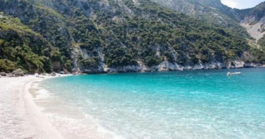 Γνωρίστε τη μαγευτική παραλία Θαψά της Εύβοιας – Καταπράσινα νερά μια ανάσα από την Αθήνα