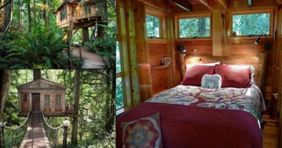 Δεντρόσπιτα βγαλμένα από παραμύθι για να διαλέξεις για τις διακοπές σου το φετινό καλοκαίρι
