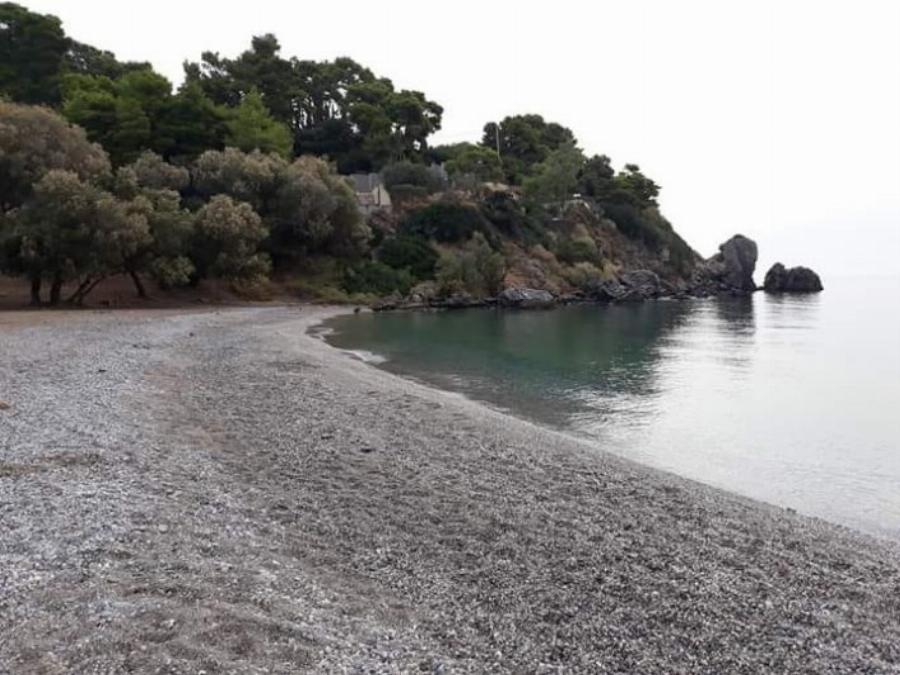 Θυμίζει Πόρτο Κατσίκι: Η παραλία-όνειρο στο Πόρτο Ράφτη που θα βουλιάξει το ΣΚ από κόσμο