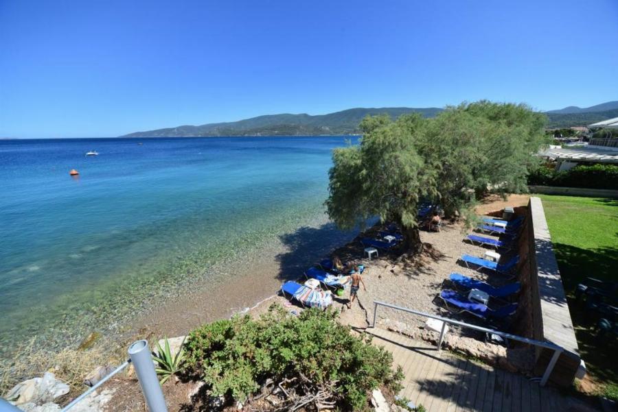 Απέχει 65 λεπτά από την Αθήνα, έχει εκπληκτική παραλία με γαλανά νερά που τρως πάνω στο κύμα με 10 ευρώ