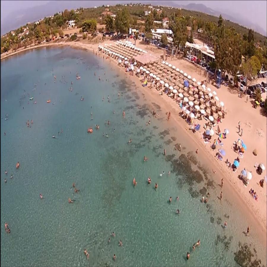 Παραλία Αλυκές Δροσιάς: Φτάνεις σε 55 λεπτά από την Αθήνα, μπαίνεις δωρεάν, χορταίνεις με 13€ και τα νερά θυμίζουν νησί