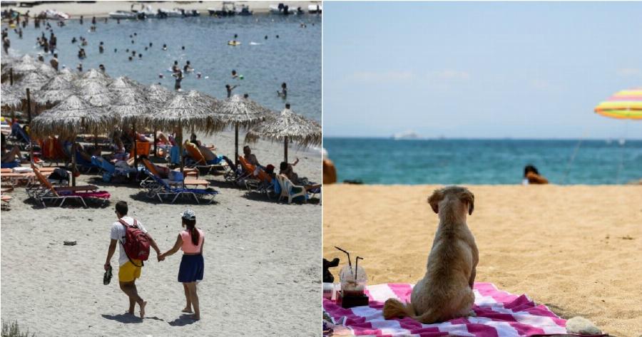 Καιρός 24/7: Έρχεται καύσωνας το μεσημέρι. Που θα έχει 40αρια