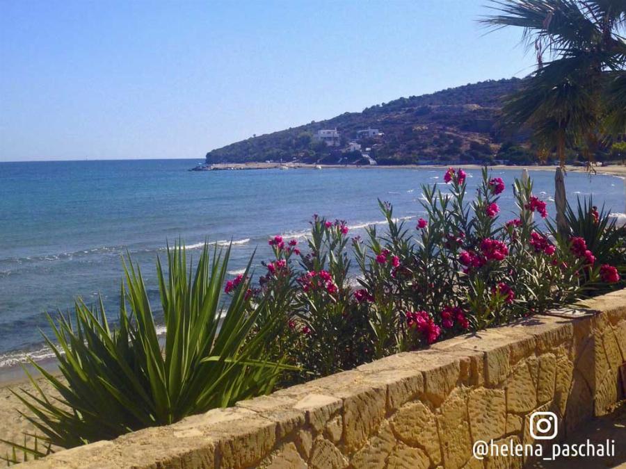 Δίνεις 16 ευρώ να πας και να έρθεις, φτάνεις σε μια ώρα και απολαμβάνεις φθηνό φαγητό και κυρίως ασφάλεια