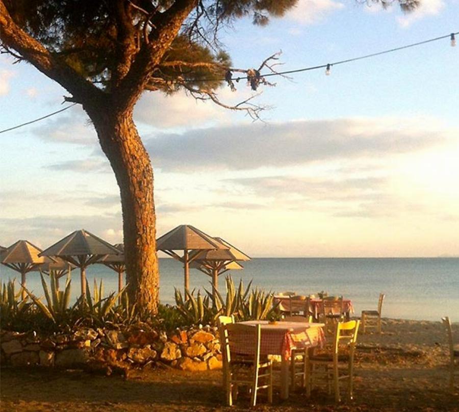 3 ταβέρνες δίπλα στη θάλασσα για να τις απολαύσεις με λιγότερα από 15 €