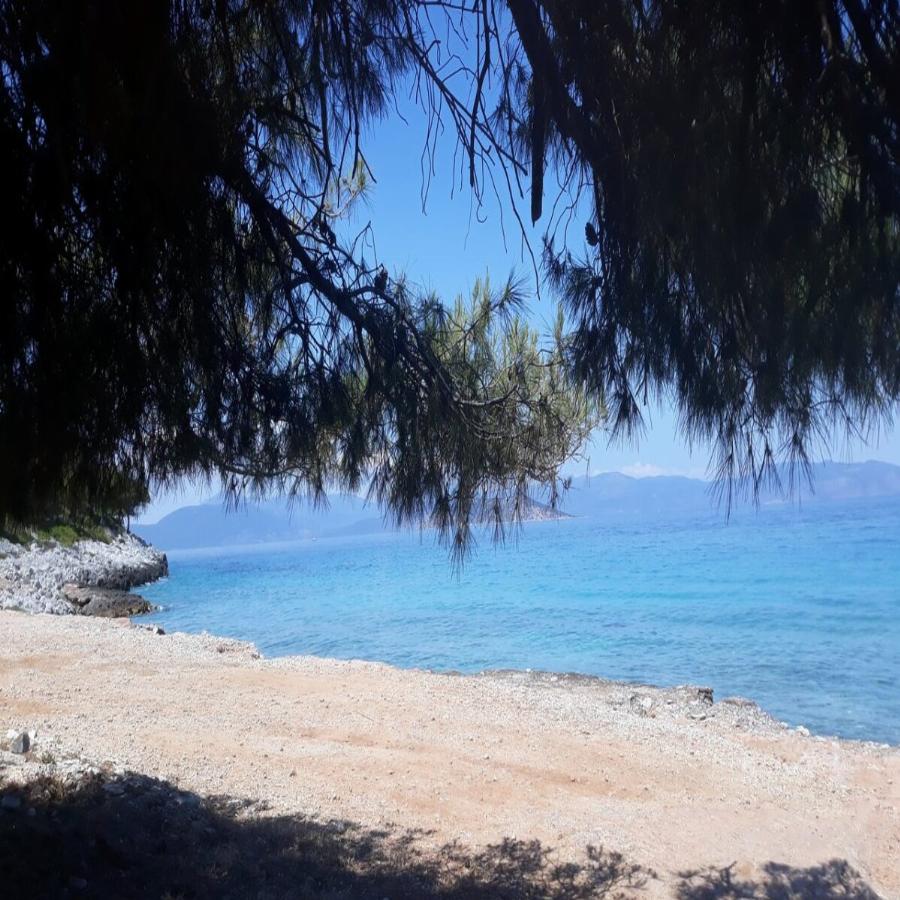 Είναι μια ανάσα από την Αθήνα, η είσοδος είναι δωρεάν, τα νερά της είναι καταγάλανα και τα δέντρα ακουμπούν στη θάλασσα