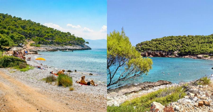 Είναι μια ανάσα από την Αθήνα, η είσοδος είναι δωρεάν, τα νερά της είναι καταγάλανα και τα δέντρα ακουμπούν στη θάλασσα