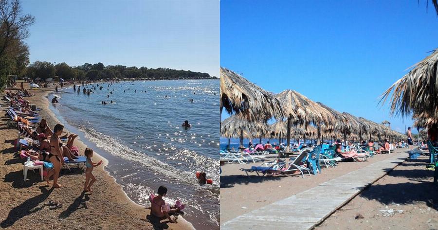 Πάτρα παραλία: Τρόμος σε παραλία της Πάτρας – Τι ξέβρασε η θάλασσα και έκανε τους λουόμενους να τα χάσουν