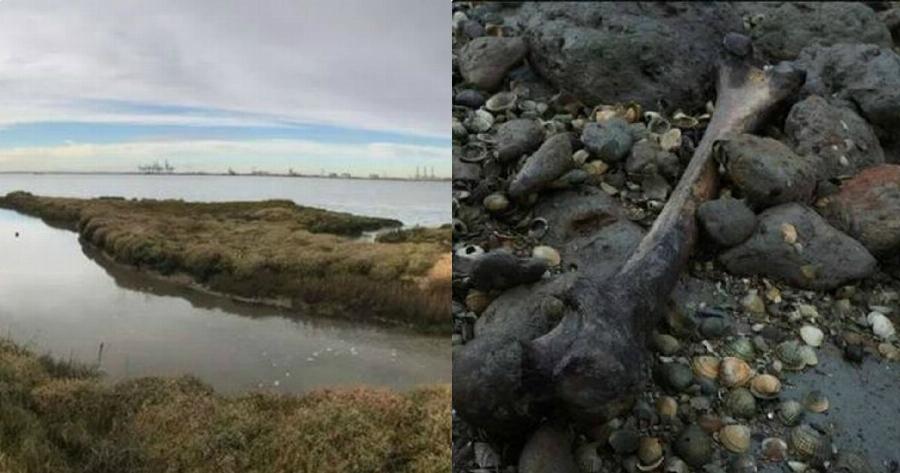 Καταραμένο νησί: Τέλος οι επισκέψεις στο νησί – Κόκαλα, πτώματα, κρανία παντού και εικόνες που συγκλονίζουν