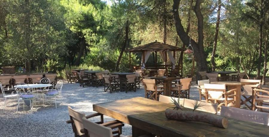 Πέντε πανέμορφα πάρκα με καφετέρια μέσα στην πόλη για να επισκεφτείς αν μείνεις Αθήνα τον Αύγουστο