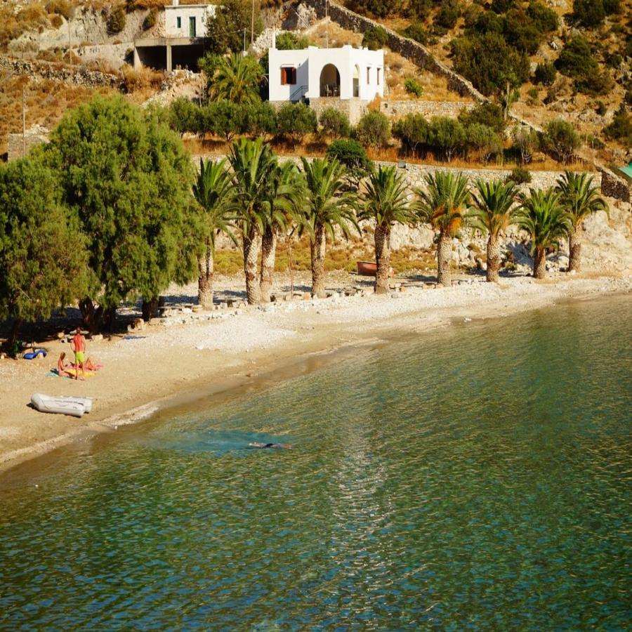 Ελληνική Χαβάη: Εξωτικός παράδεισος, καταγάλανα νερά, λευκή άμμος και φοίνικες στην ακροθαλασσιά που θυμίζουν Χαβάη