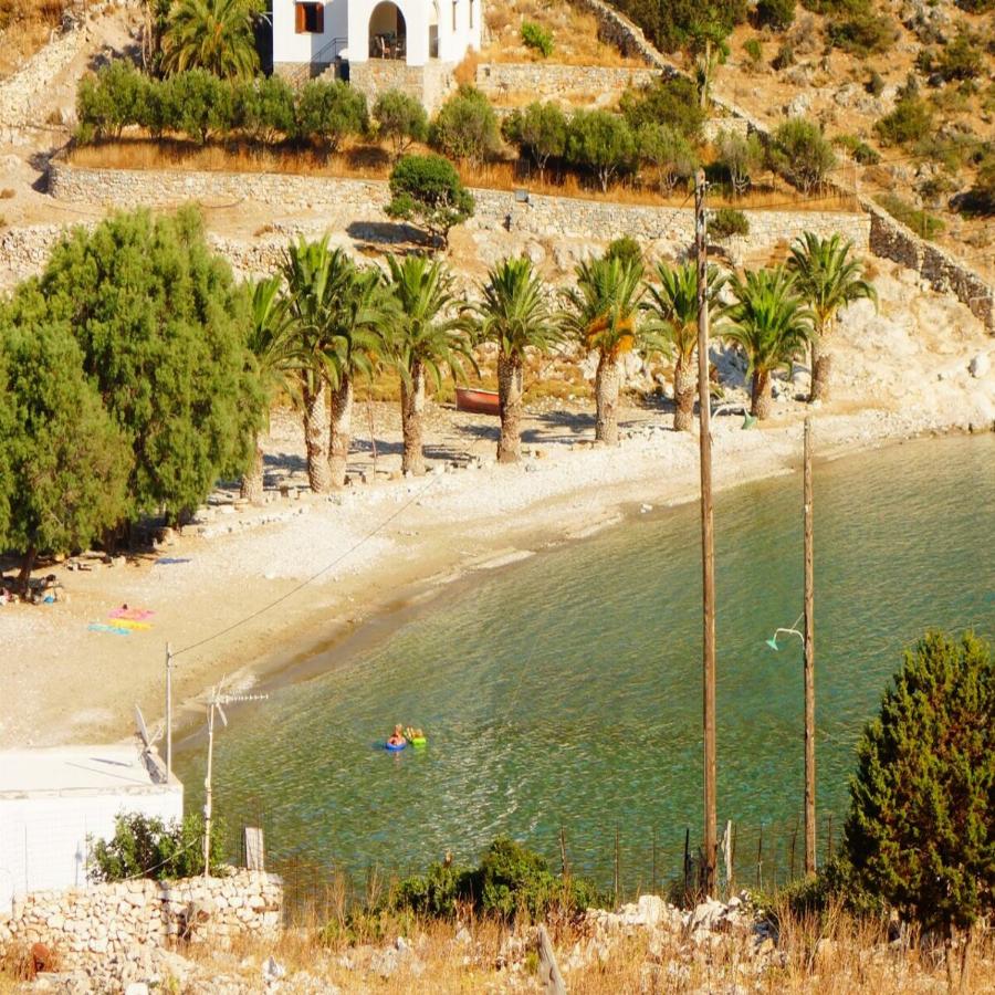 Ελληνική Χαβάη: Εξωτικός παράδεισος, καταγάλανα νερά, λευκή άμμος και φοίνικες στην ακροθαλασσιά που θυμίζουν Χαβάη