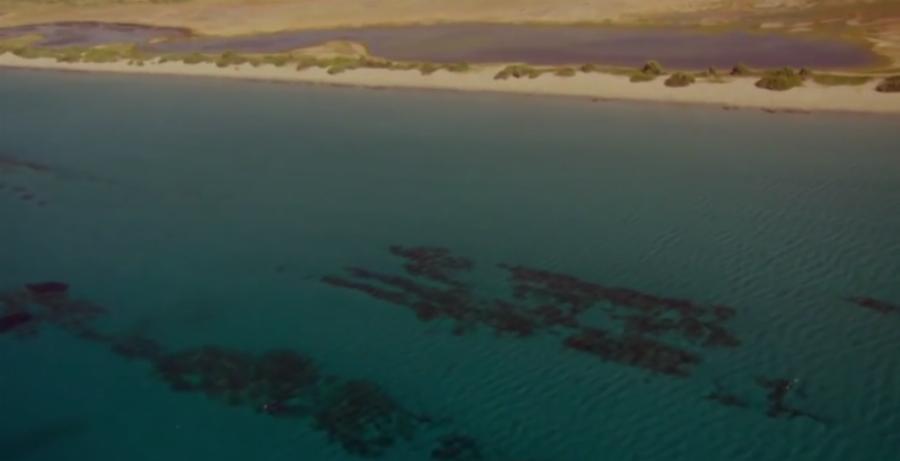 Γνωρίστε την αρχαία Ελληνική πόλη που βρίσκεται βυθισμένη κάτω από τη θάλασσα στην Ελαφόνησο – Φωτογραφίες