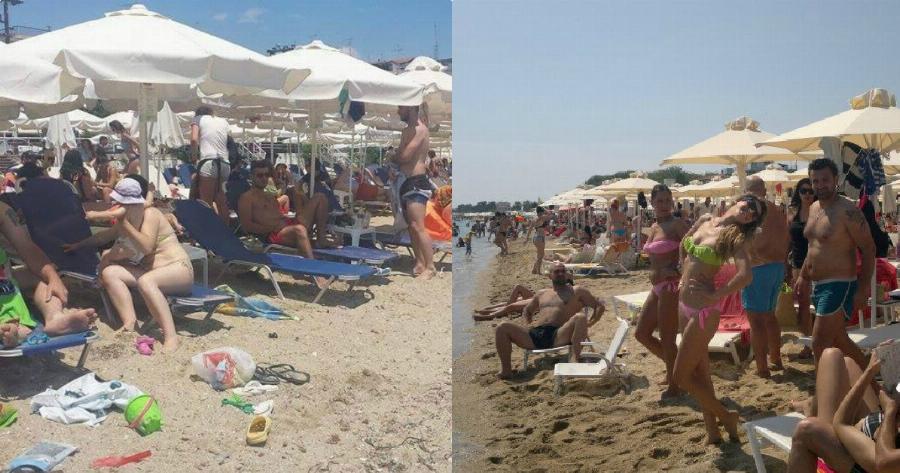 Χαλκιδική έντομο: Εμφανίστηκε το μεγαλύτερο υδρόβιο έντομο με δηλητηριώδες δάγκωμα (Εικόνες)