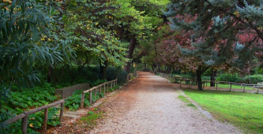 Πέντε πανέμορφα πάρκα με καφετέρια μέσα στην πόλη για να επισκεφτείς αν μείνεις Αθήνα τον Αύγουστο