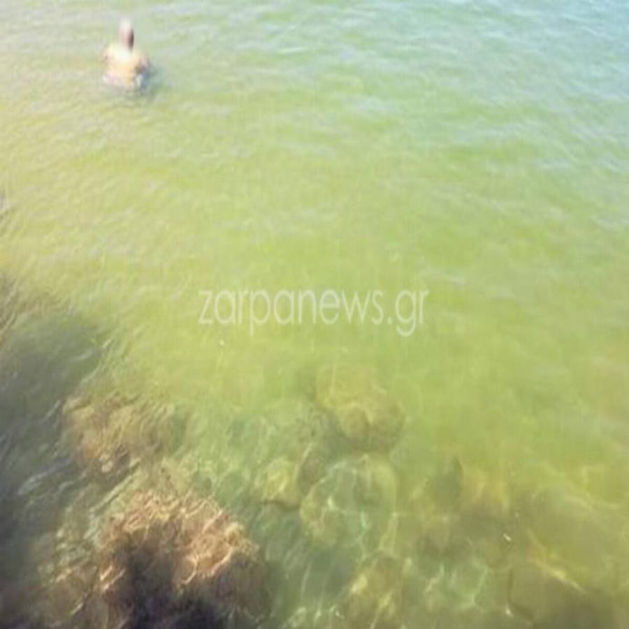 Χανιά τρόμος: Κολυμπούσαν και ξαφνικά η θάλασσα έγινε πράσινη – Τρομακτικές εικόνες και βίντεο