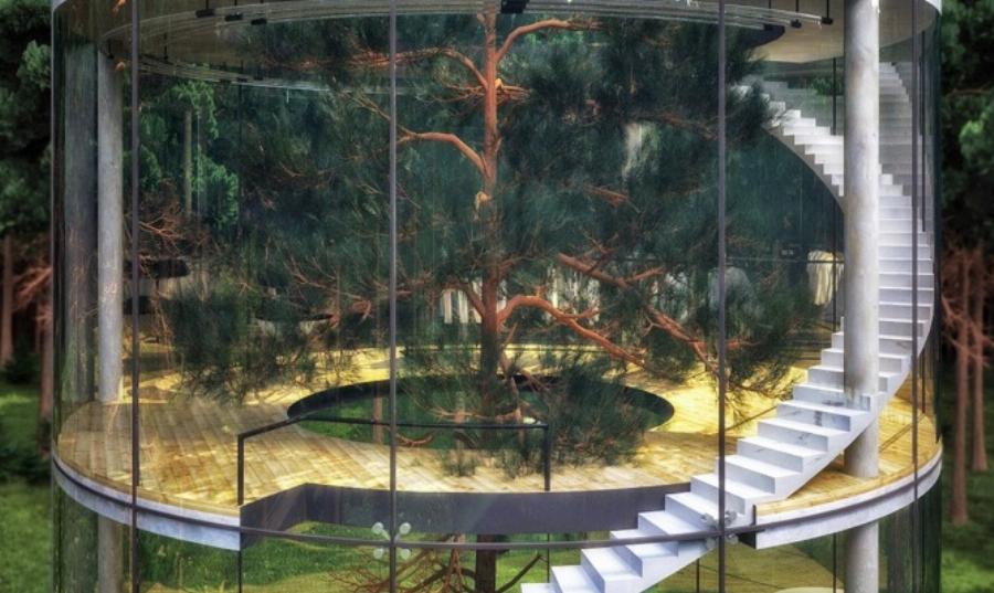 Είναι όλο από γυαλί, έχει χτιστεί γύρω από ένα δέντρο, χωράει 3 οικογένειες, τους πήρε 90 μέρες και κόστισε 100.000 ευρώ