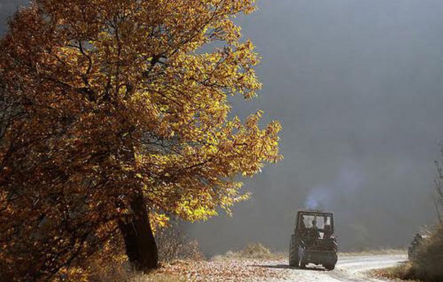 Φθινόπωρο στην Ελλάδα: Μαγικές εικόνες από όλη την Ελλάδα τώρα που ξεκινάει το φθινόπωρο
