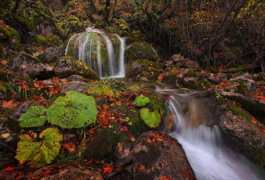 Φθινόπωρο στην Ελλάδα: Μαγικές εικόνες από όλη την Ελλάδα τώρα που ξεκινάει το φθινόπωρο