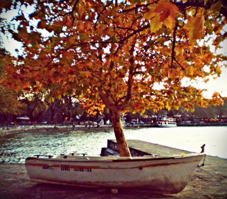 Φθινόπωρο στην Ελλάδα: Μαγικές εικόνες από όλη την Ελλάδα τώρα που ξεκινάει το φθινόπωρο