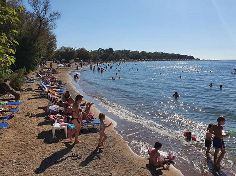 Πάτρα παραλία: Τρόμος σε παραλία της Πάτρας – Τι ξέβρασε η θάλασσα και έκανε τους λουόμενους να τα χάσουν