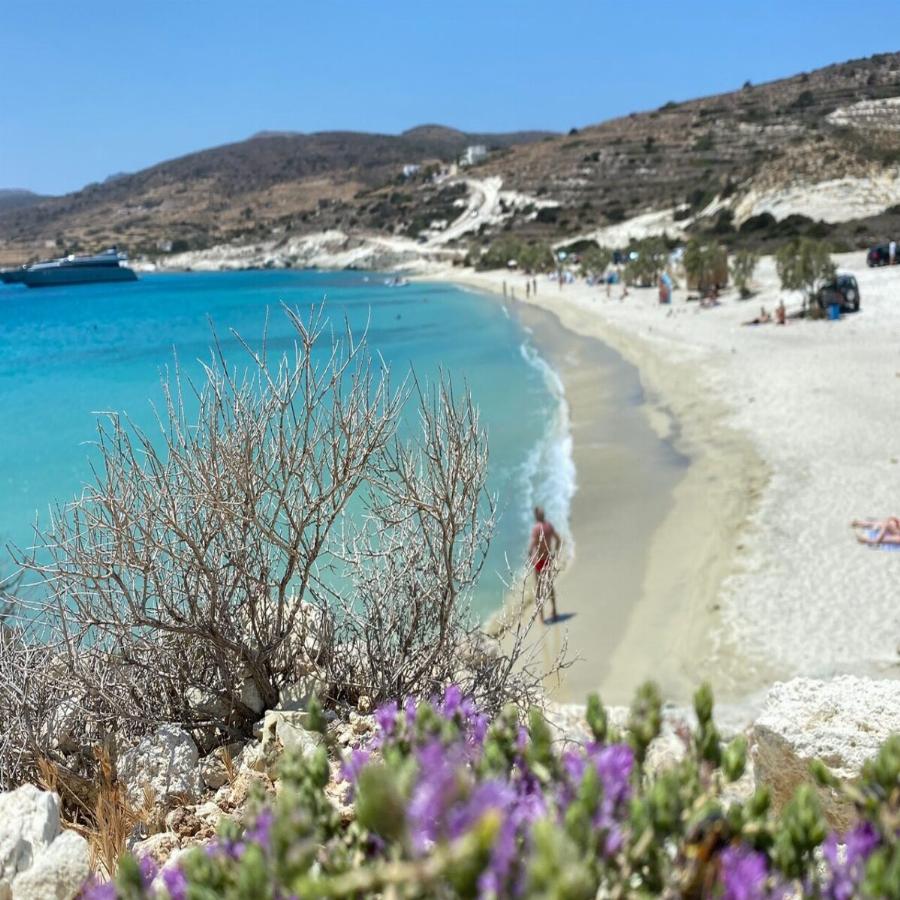 Παραλία με λευκή χοντρή άμμο σαν της  Καραϊβικής, φυσική σκιά και φθηνές ταβέρνες για ψαράκι