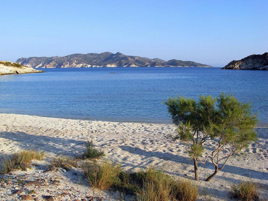 Παραλία με λευκή χοντρή άμμο σαν της  Καραϊβικής, φυσική σκιά και φθηνές ταβέρνες για ψαράκι