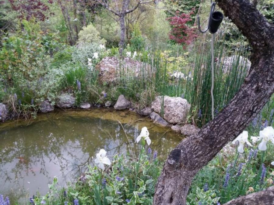 Ελληνικό όρος Αραράτ: 1,5 ώρα από την Αθήνα ένας Αρμένιος έχει φτιάξει ένα παραμυθένιο μέρος