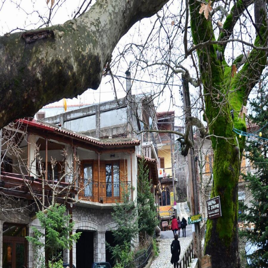 Ποια Αράχωβα; Ανακαλύψτε το χωριουδάκι που είναι γεμάτο με φτελιές, πλατάνια, έλατα τρεχούμενα νερά και εξαιρετικό φαγητό