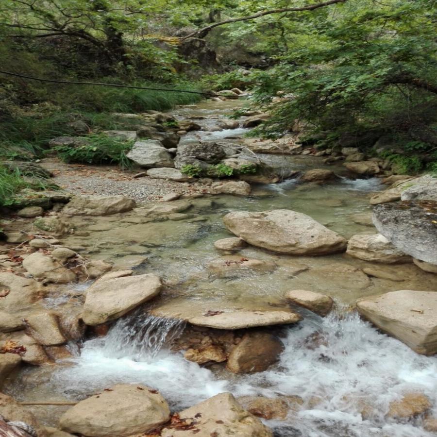 Ελληνικό όρος Αραράτ: 1,5 ώρα από την Αθήνα ένας Αρμένιος έχει φτιάξει ένα παραμυθένιο μέρος