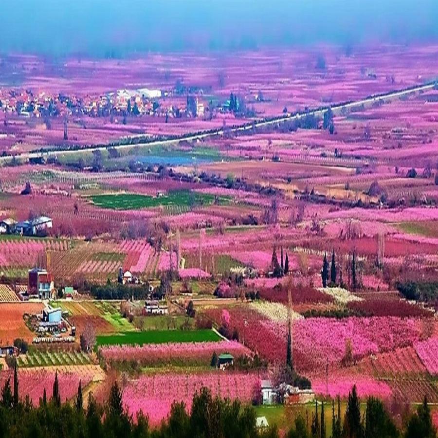 Ιερουσαλήμ της Ελλάδας: Πας με αυτοκίνητο, είναι πολύχρωμη, έχει πάνω από 70 ναούς και εξαιρετικό φαγητό