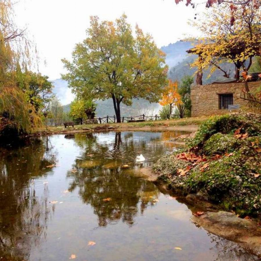 Cherryland: 2 ώρες μακριά από την Αθήνα, θα βρείτε ένα μαγικό χωριό βγαλμένο από το ομορφότερο παραμύθι