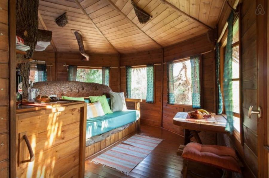 Αμαλιάδα δεντρόσπιτο: Ζευγάρι έφτιαξε το ομορφότερο δεντρόσπιτο της Ελλάδας – Υπέροχες φωτογραφίες