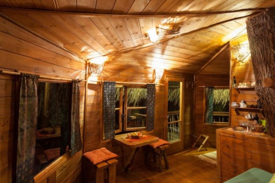 Αμαλιάδα δεντρόσπιτο: Ζευγάρι έφτιαξε το ομορφότερο δεντρόσπιτο της Ελλάδας – Υπέροχες φωτογραφίες