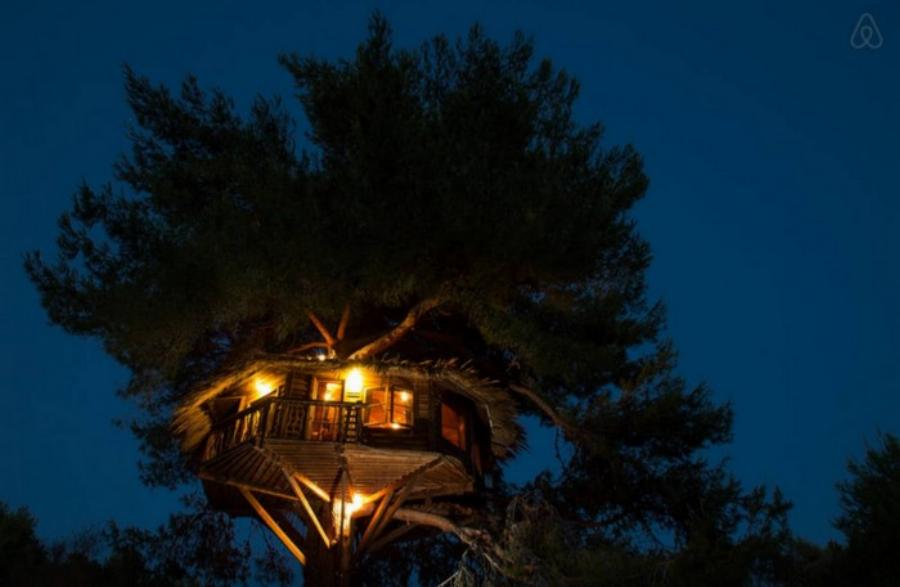 Αμαλιάδα δεντρόσπιτο: Ζευγάρι έφτιαξε το ομορφότερο δεντρόσπιτο της Ελλάδας – Υπέροχες φωτογραφίες