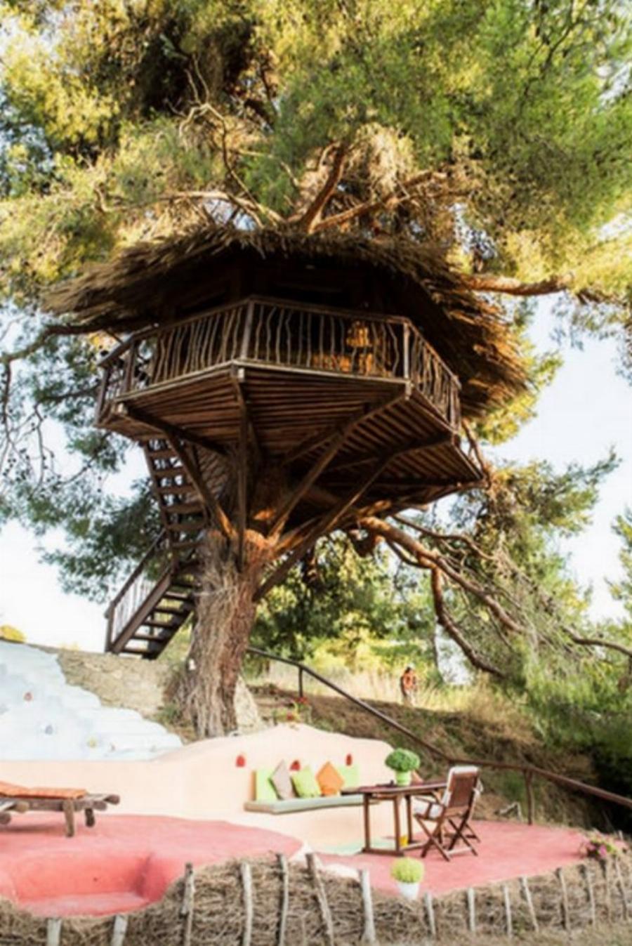 Αμαλιάδα δεντρόσπιτο: Ζευγάρι έφτιαξε το ομορφότερο δεντρόσπιτο της Ελλάδας – Υπέροχες φωτογραφίες