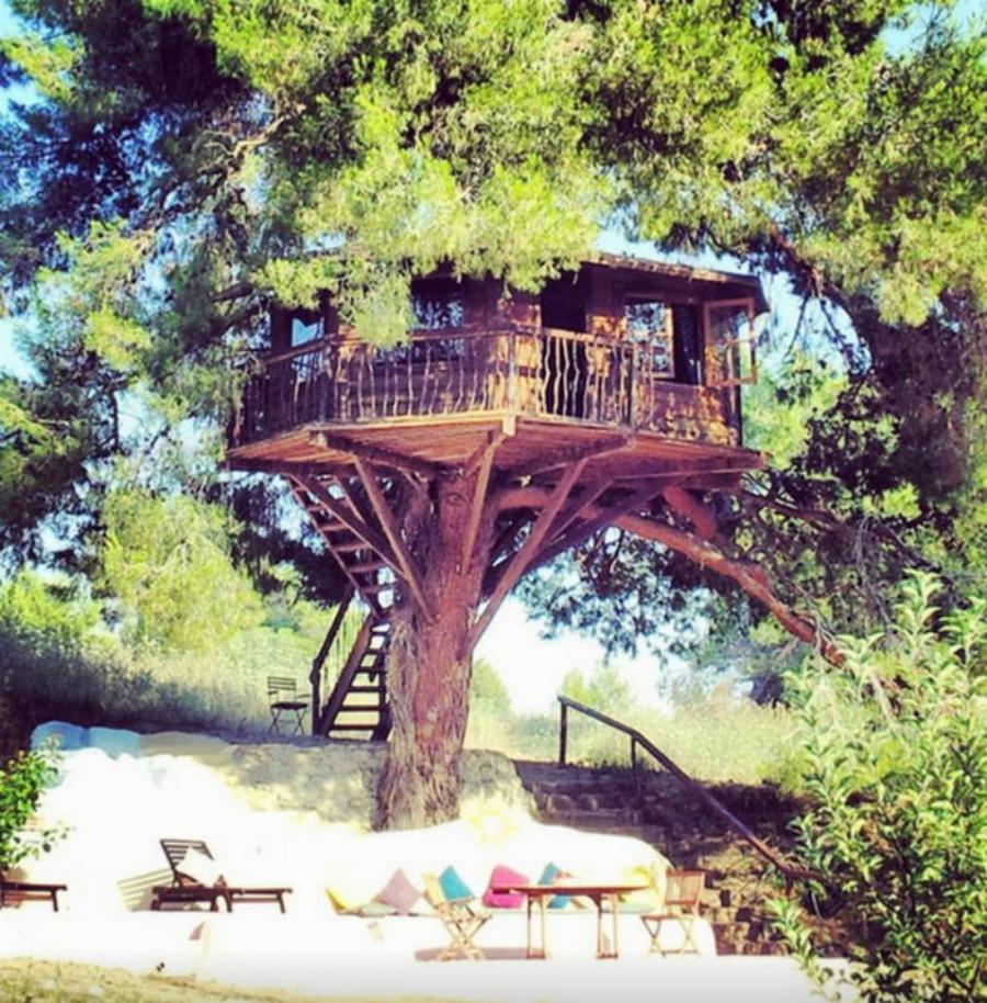 Αμαλιάδα δεντρόσπιτο: Ζευγάρι έφτιαξε το ομορφότερο δεντρόσπιτο της Ελλάδας – Υπέροχες φωτογραφίες
