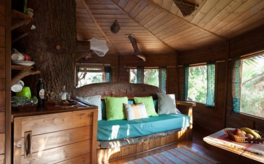 Αμαλιάδα δεντρόσπιτο: Ζευγάρι έφτιαξε το ομορφότερο δεντρόσπιτο της Ελλάδας – Υπέροχες φωτογραφίες