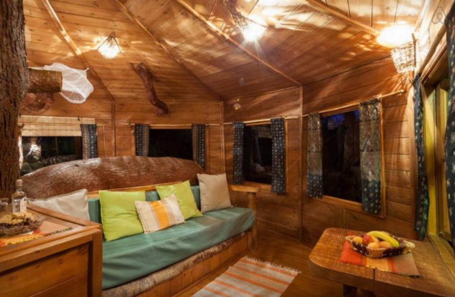 Αμαλιάδα δεντρόσπιτο: Ζευγάρι έφτιαξε το ομορφότερο δεντρόσπιτο της Ελλάδας – Υπέροχες φωτογραφίες